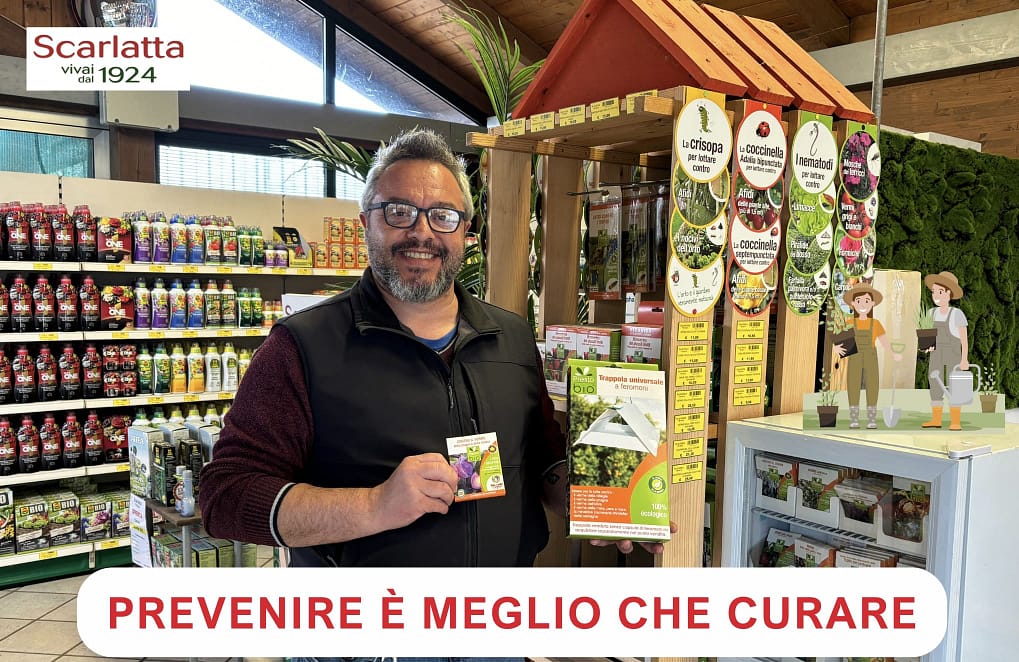 trappole a feromoni