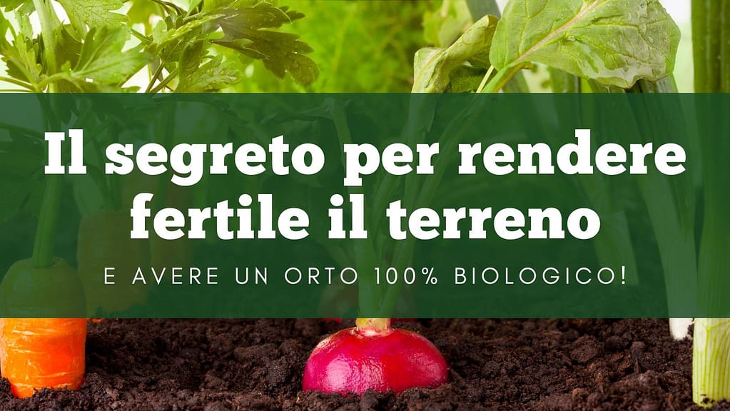 il-segreto-per-rendere-fertile-il-terreno-e-avere-un-orto-100%-biologico