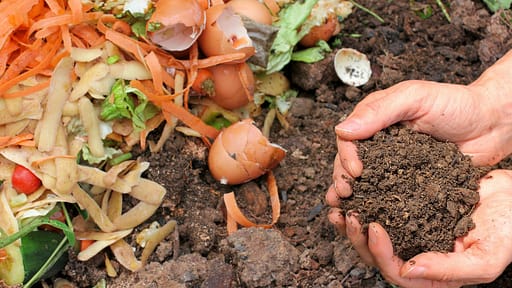 compost fatto in casa
